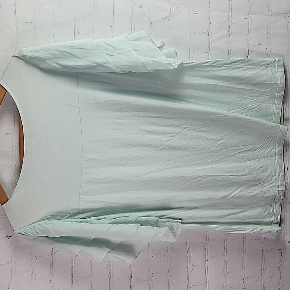 Sheer Ruffle Sleeve Blouse - Picture 6 of 6